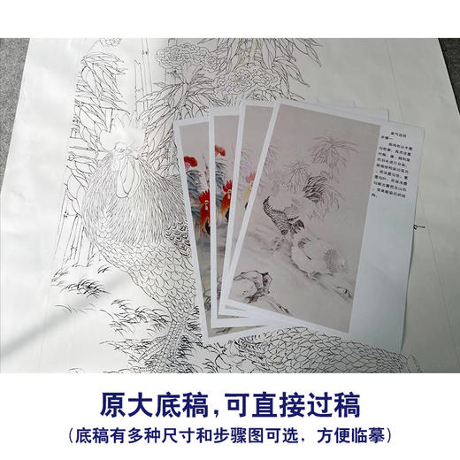 【有步骤】陈军四尺工笔画白描底稿《紫气迎祥》公鸡初学者临摹花鸟线稿CJ28 商品图1