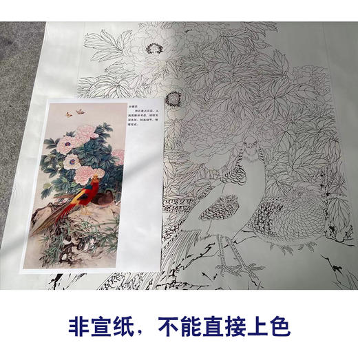【有步骤】陈军工笔画白描底稿《锦羽国色》锦鸡牡丹初学者临摹花鸟线稿CJ26 商品图2