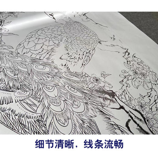 【有步骤】陈军工笔画白描底稿《春光明媚》孔雀初学者临摹花鸟线稿CJ31 商品图4