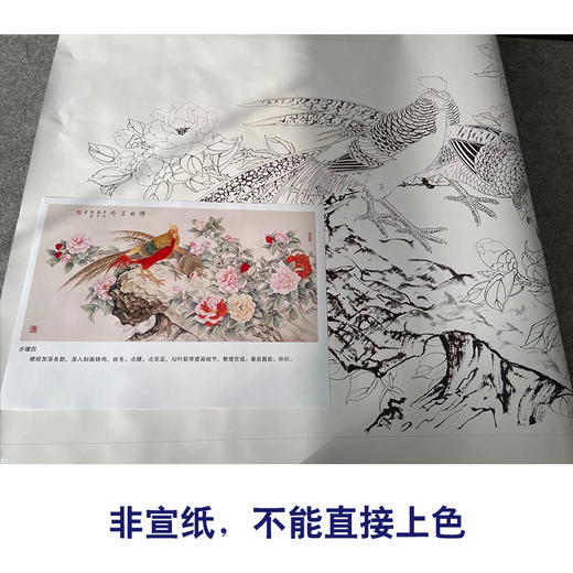 【有步骤】陈军横幅工笔画白描底稿《锦羽呈瑞》锦鸡牡丹初学者临摹花鸟线稿CJ25 商品图2
