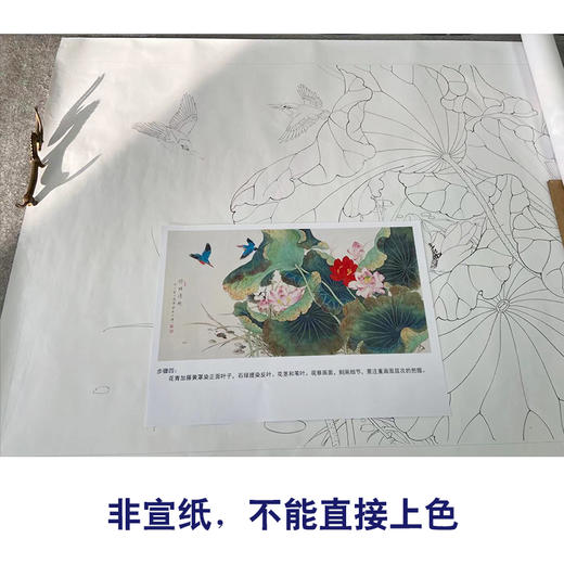 【有步骤】陈军横幅工笔画白描底稿《荷塘嬉戏》荷花翠鸟初学者临摹花鸟线稿CJ01 商品图2