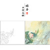 【有步骤】陈军工笔画白描底稿斗方小品《倩影》荷花初学者临摹花鸟线稿CJ05 商品缩略图0