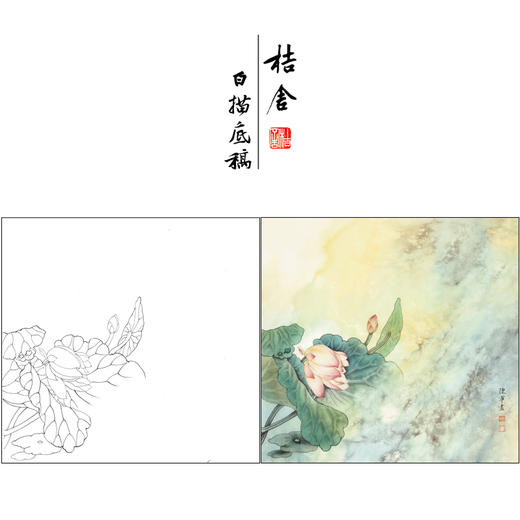 【有步骤】陈军工笔画白描底稿斗方小品《倩影》荷花初学者临摹花鸟线稿CJ05 商品图0