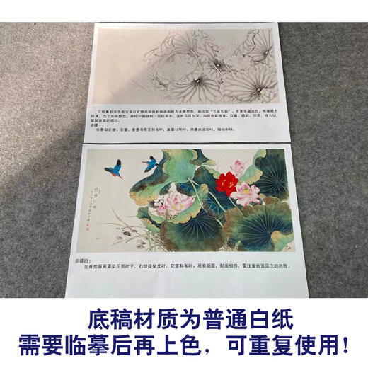 【有步骤】陈军横幅工笔画白描底稿《荷塘嬉戏》荷花翠鸟初学者临摹花鸟线稿CJ01 商品图3