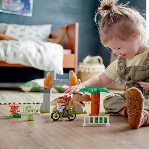 LEGO乐高得宝系列10939霸王龙和三角龙大逃亡 商品图1