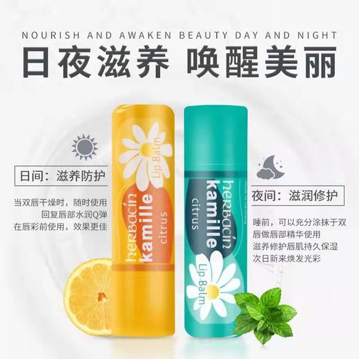 德国小甘菊修护唇膏（经典原味/柠檬味/薄荷味） 商品图4