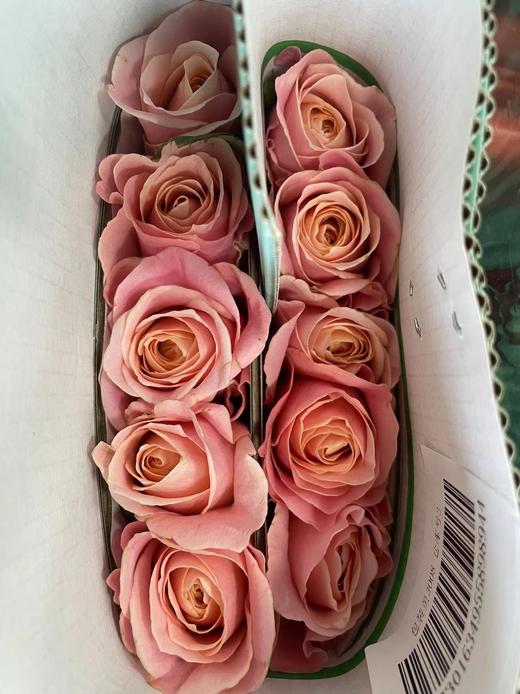 【拍市玫瑰】猪猪小姐 10枝/扎  约60公分 商品图7