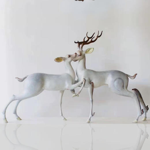 琴瑟和鸣/王大朋 商品图2