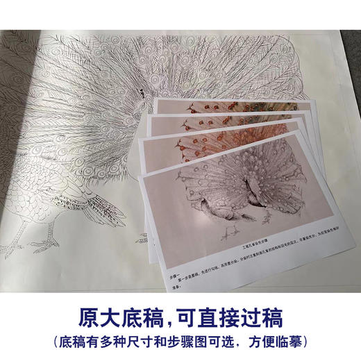 【有步骤】陈军四尺横幅工笔画白描底稿《孔雀开屏》孔雀初学者临摹动物线稿CJ38 商品图1