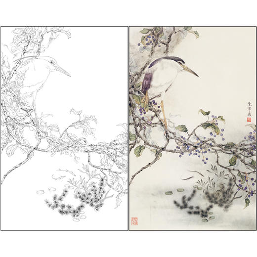 【有步骤】陈军工笔画白描底稿《池塘幽境》初学者临摹勾线花鸟线稿CJ14 商品图0
