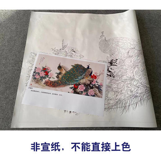 【有步骤】陈军横幅工笔画白描底稿《依红理绣》孔雀牡丹初学者临摹花鸟线稿CJ33 商品图2