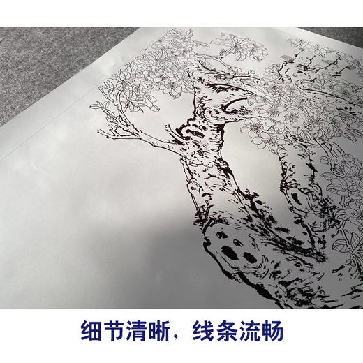 【有步骤】陈军横幅工笔画白描底稿《繁华翠羽春满园》孔雀海棠花初学者临摹花鸟线稿CJ37 商品图4