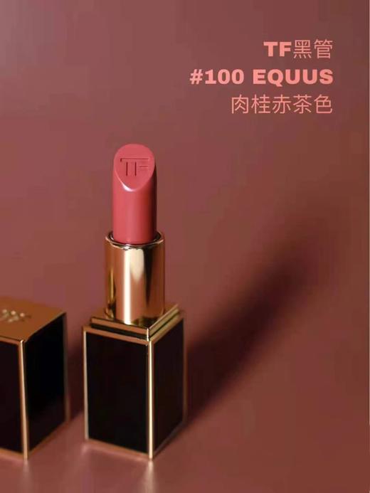 TF口红#100 EQUUS肉桂奶茶色 商品图1