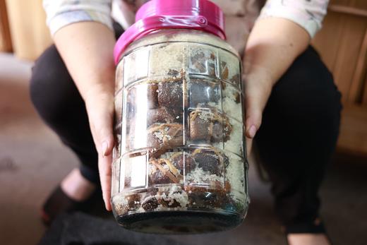 广东三宝扎 新会陈皮/咸榄/禾秆草 商品图3