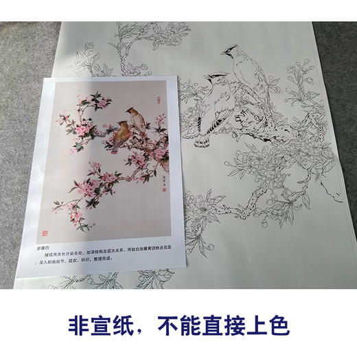 【有步骤】陈军工笔画白描底稿斗方小品《枝头春色》桃花太平鸟初学者临摹花鸟线稿CJ20 商品图2