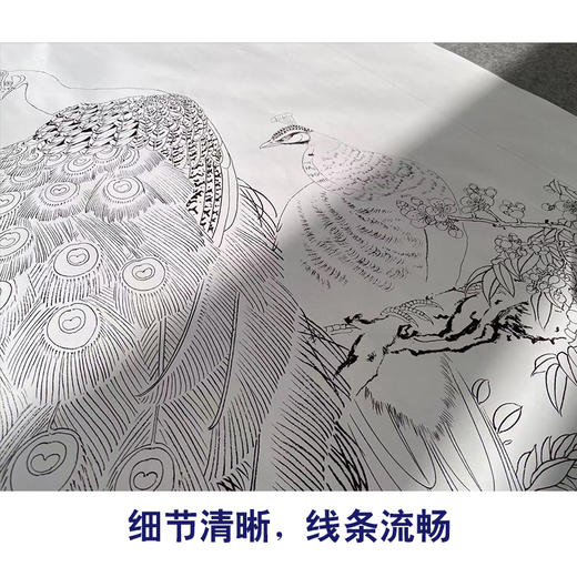 【有步骤】陈军四尺工笔画白描底稿《花开烂漫》孔雀初学者临摹花鸟线稿CJ32 商品图4