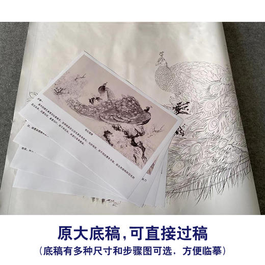 【有步骤】陈军横幅工笔画白描底稿《依红理绣》孔雀牡丹初学者临摹花鸟线稿CJ33 商品图1