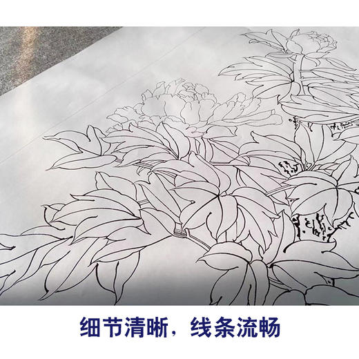 【有步骤】陈军四尺工笔画白描底稿《春意盎然》牡丹初学者临摹花鸟线稿CJ11 商品图4