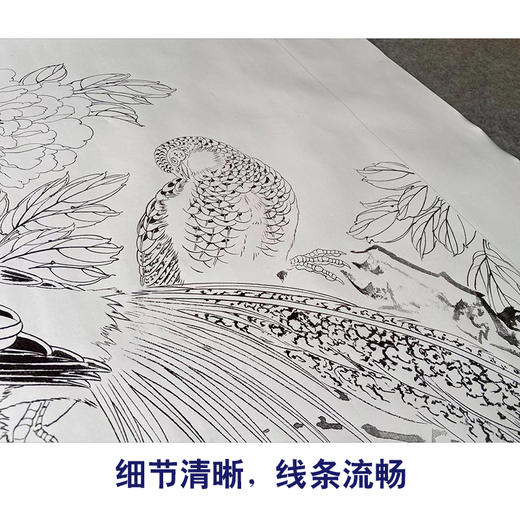 【有步骤】陈军工笔画白描底稿《依红理绣》锦鸡牡丹初学者临摹花鸟线稿CJ27 商品图4