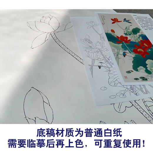 【有步骤、大彩图】陈军工笔画白描底稿《鸿运当头》荷花翠鸟初学者临摹花鸟线稿CJ02 商品图3
