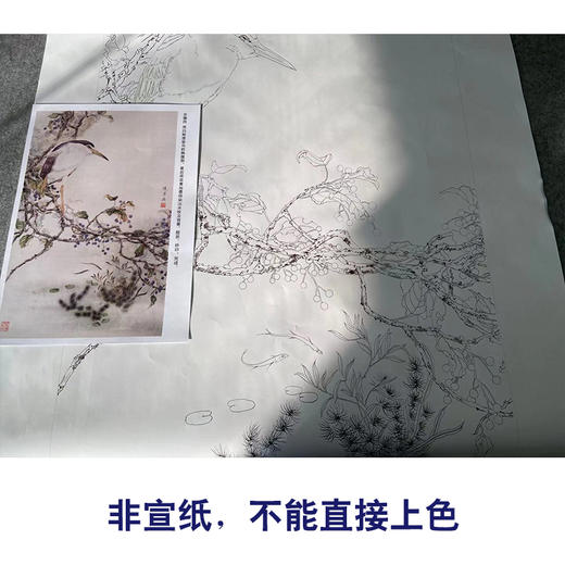 【有步骤】陈军工笔画白描底稿《池塘幽境》初学者临摹勾线花鸟线稿CJ14 商品图2