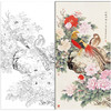 【有步骤】陈军工笔画白描底稿《依红理绣》锦鸡牡丹初学者临摹花鸟线稿CJ27 商品缩略图0