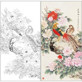 【有步骤】陈军工笔画白描底稿《依红理绣》锦鸡牡丹初学者临摹花鸟线稿CJ27