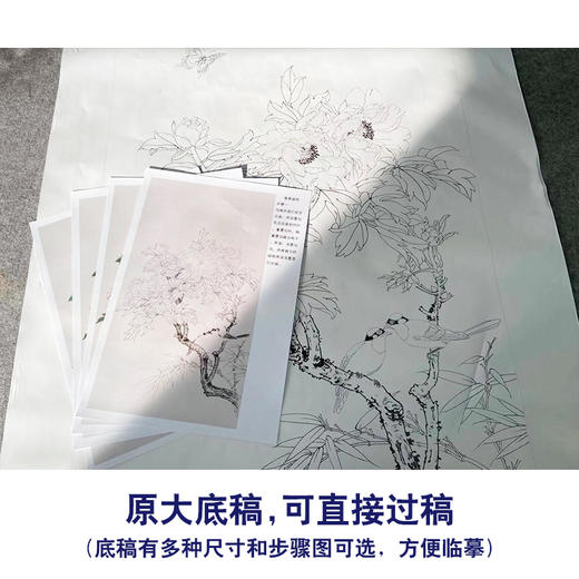 【有步骤】陈军四尺工笔画白描底稿《春意盎然》牡丹初学者临摹花鸟线稿CJ11 商品图1