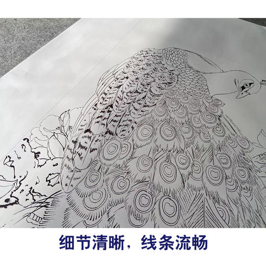 【有步骤】陈军四尺工笔画白描底稿《冰清玉洁》孔雀初学者临摹花鸟线稿CJ29 商品图4
