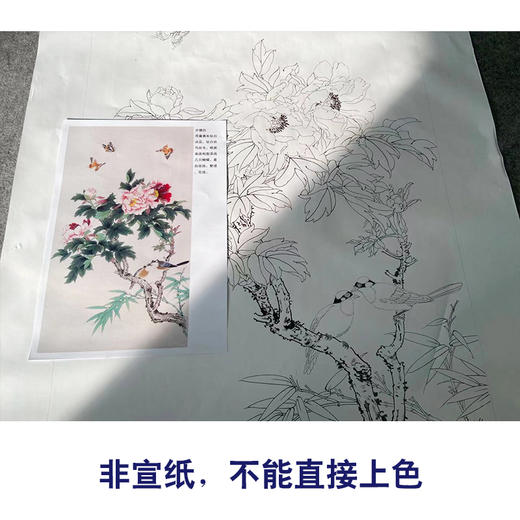 【有步骤】陈军四尺工笔画白描底稿《春意盎然》牡丹初学者临摹花鸟线稿CJ11 商品图2