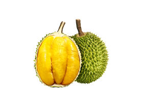 钻石牌 马来西亚液氮D197猫山王榴莲