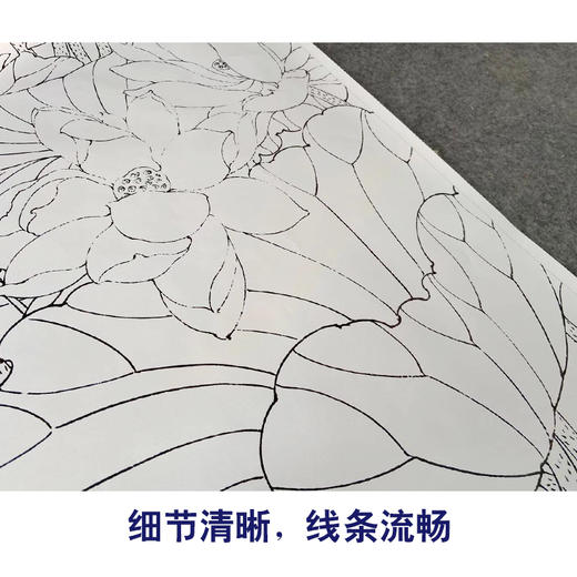 【有步骤、大彩图】陈军工笔画白描底稿《鸿运当头》荷花翠鸟初学者临摹花鸟线稿CJ02 商品图4
