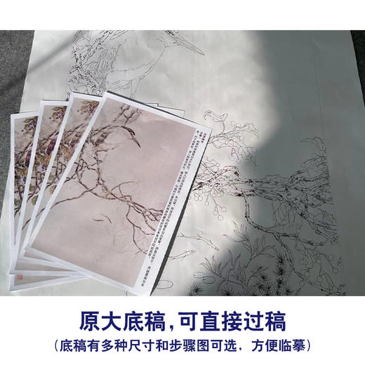 【有步骤】陈军工笔画白描底稿《池塘幽境》初学者临摹勾线花鸟线稿CJ14 商品图1