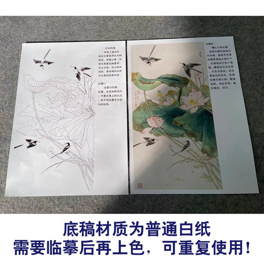 【有步骤】陈军四尺工笔画白描底稿《花间鸣唱》荷花鹡鸰鸟初学者临摹花鸟线稿CJ03 商品图3