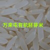 丨有机丨万来屯五常稻花香米10斤 大米 糙米 胚芽米 商品缩略图2