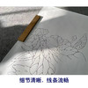 【有步骤】陈军工笔画白描底稿斗方小品《倩影》荷花初学者临摹花鸟线稿CJ05 商品缩略图4