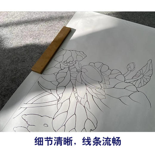 【有步骤】陈军工笔画白描底稿斗方小品《倩影》荷花初学者临摹花鸟线稿CJ05 商品图4