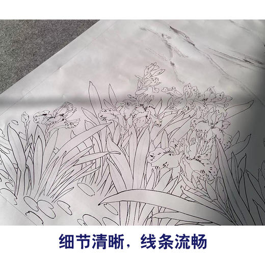 【有步骤】陈军横幅工笔画白描底稿《繁花似锦》蓝鹊杜鹃花初学者临摹花鸟线稿CJ16 商品图4
