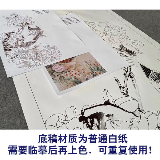 【有步骤】陈军工笔画白描底稿《锦上添花》山茶花水仙花锦鸡初学者临摹花鸟线稿CJ09 商品图3
