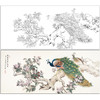 【有步骤】陈军横幅工笔画白描底稿《春融翠羽红满堂》孔雀海棠花初学者临摹花鸟线稿CJ35 商品缩略图0