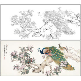 【有步骤】陈军横幅工笔画白描底稿《春融翠羽红满堂》孔雀海棠花初学者临摹花鸟线稿CJ35