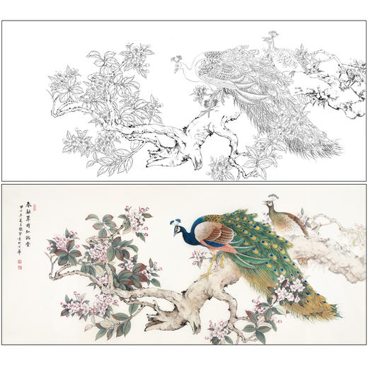 【有步骤】陈军横幅工笔画白描底稿《春融翠羽红满堂》孔雀海棠花初学者临摹花鸟线稿CJ35 商品图0