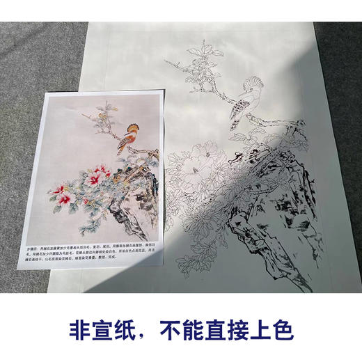 【有步骤】陈军工笔画白描底稿斗方小品《花艳禽来更多彩》牡丹戴胜鸟初学者临摹花鸟线稿CJ12 商品图2