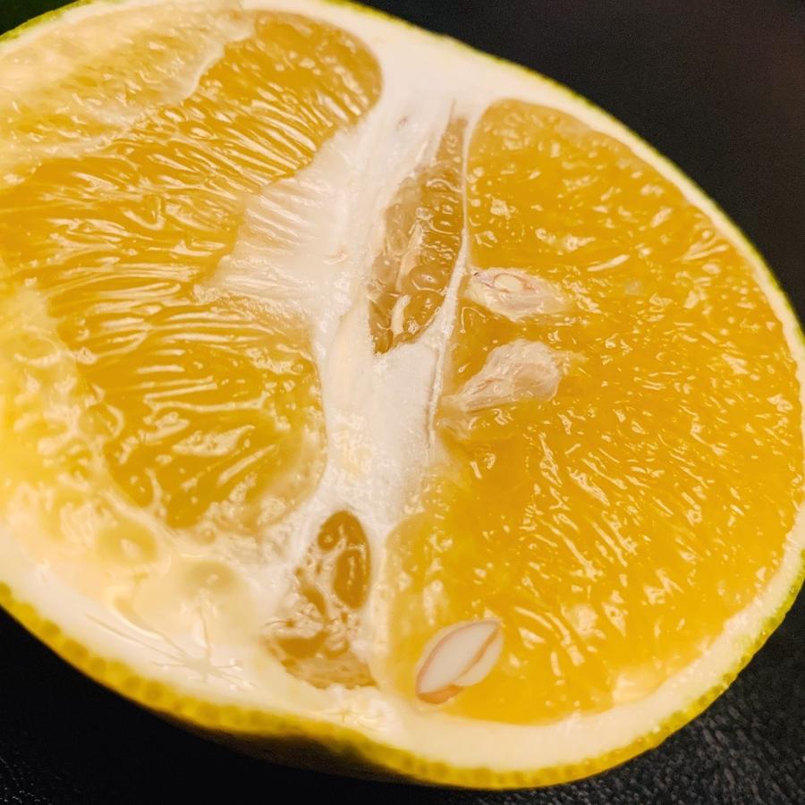 【镇店之宝】有机高山种植台湾青皮葡萄柚 5斤装(台湾引进漳州种植)