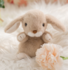 伽百利/Gabriel小兔子可爱毛绒玩具公仔安抚玩偶陪伴女孩节日礼物 商品缩略图4