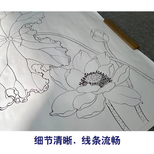 【有步骤】陈军工笔画白描底稿斗方小品《绿夏》荷花翠鸟初学者临摹花鸟线稿CJ04 商品图4
