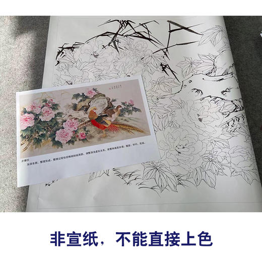 【有步骤】陈军四尺横幅工笔画白描底稿《水畔荣花》锦鸡初学者临摹花鸟线稿CJ19 商品图2