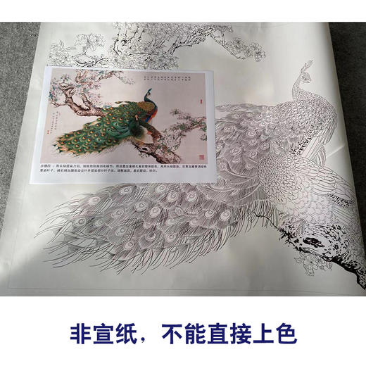 【有步骤】陈军横幅工笔画白描底稿《繁华翠羽春满园》孔雀海棠花初学者临摹花鸟线稿CJ37 商品图2