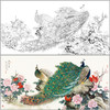 【有步骤】陈军横幅工笔画白描底稿《依红理绣》孔雀牡丹初学者临摹花鸟线稿CJ33 商品缩略图0