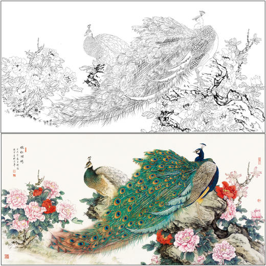 【有步骤】陈军横幅工笔画白描底稿《依红理绣》孔雀牡丹初学者临摹花鸟线稿CJ33 商品图0